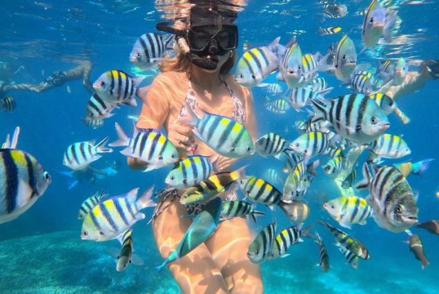 سفر گروهی مالدیو رویایی