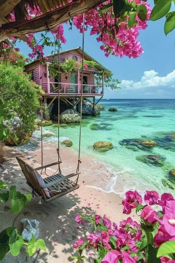 بالی - تصویر 3