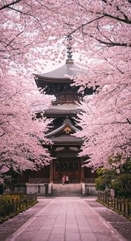 چین - تصویر 2